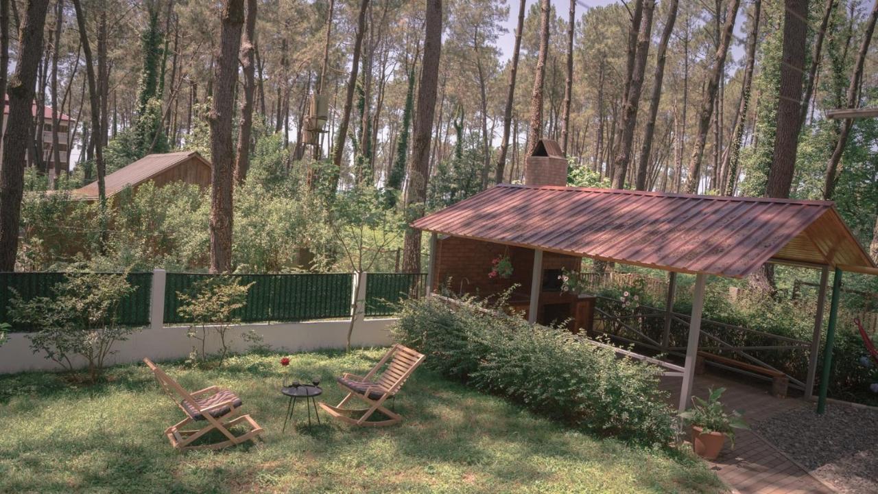Shekvetili Big Wonder Villa Exteriör bild