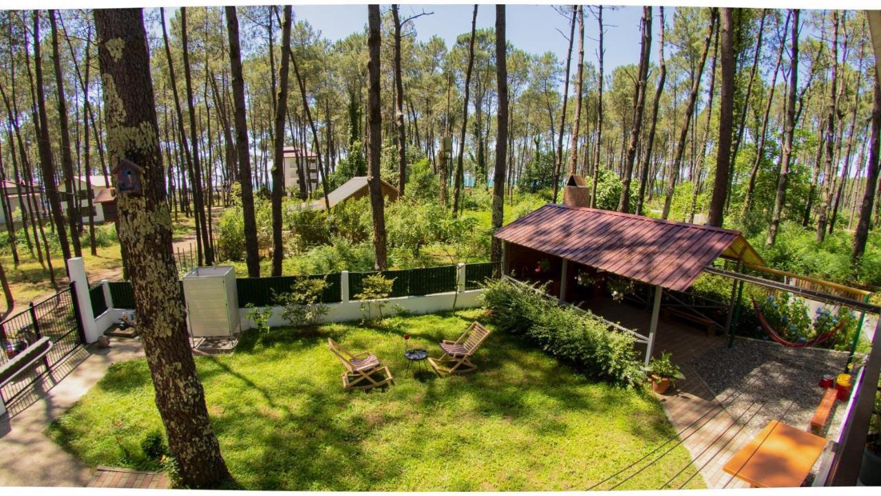 Shekvetili Big Wonder Villa Exteriör bild