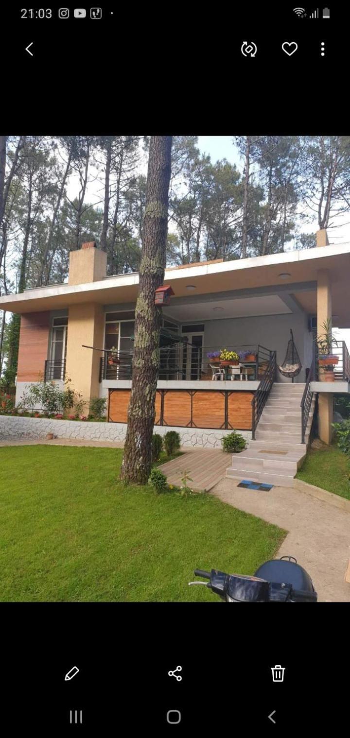 Shekvetili Big Wonder Villa Rum bild
